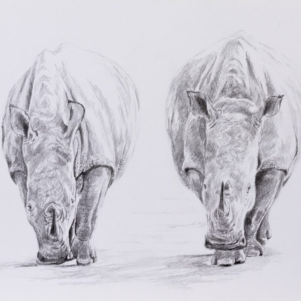 drawing-3200